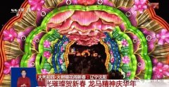 央视点赞沈阳迎春灯会！